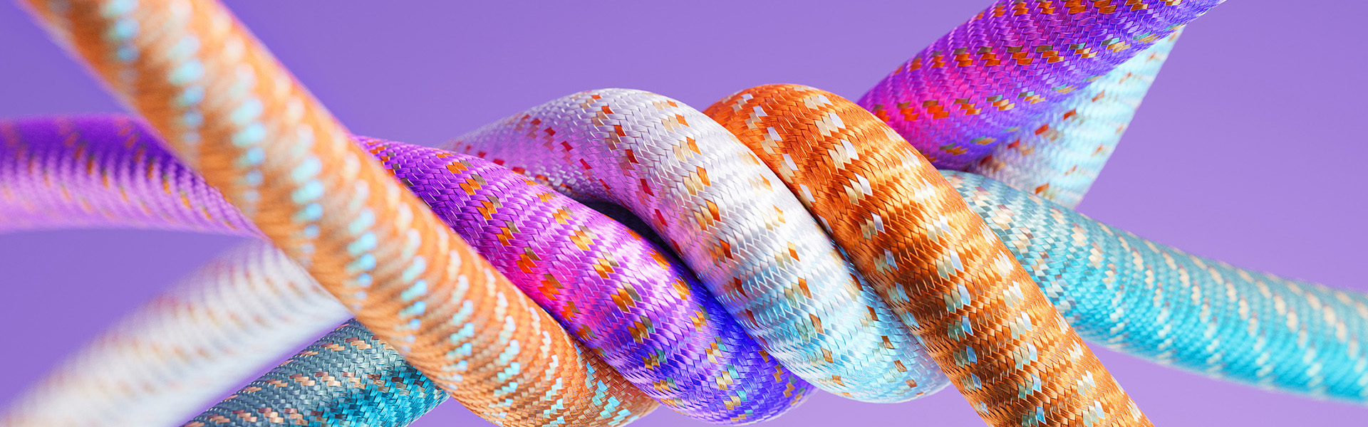 DeSHa_Konzept_50perc